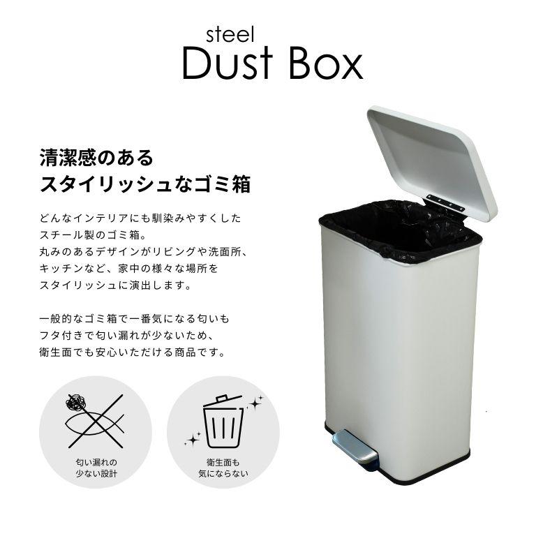 Snap-on スチール製ゴミ箱 蓋付き レビュー特典付き ゴミ箱 ふた付き ペダル キッチン 蓋付き 新生活