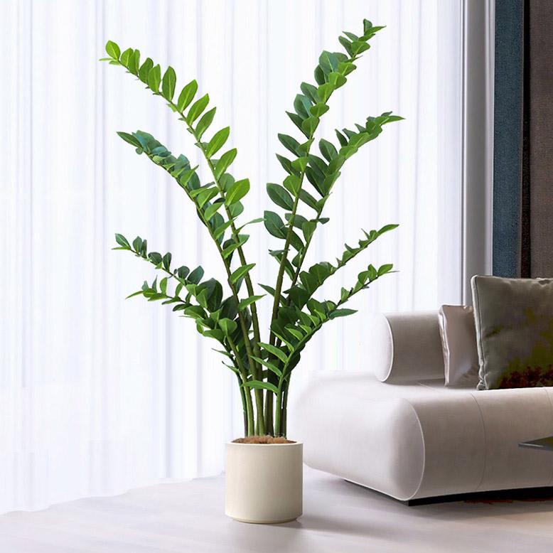 フェイクグリーン 大型 おしゃれ 観葉植物 フェイク リアル 造花 