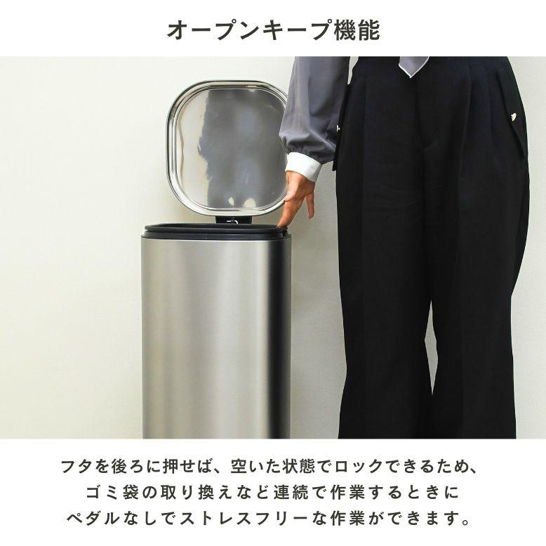 レビュー特典付き ゴミ箱 3点セット 30リットル 6リットル 分別 蓋付き