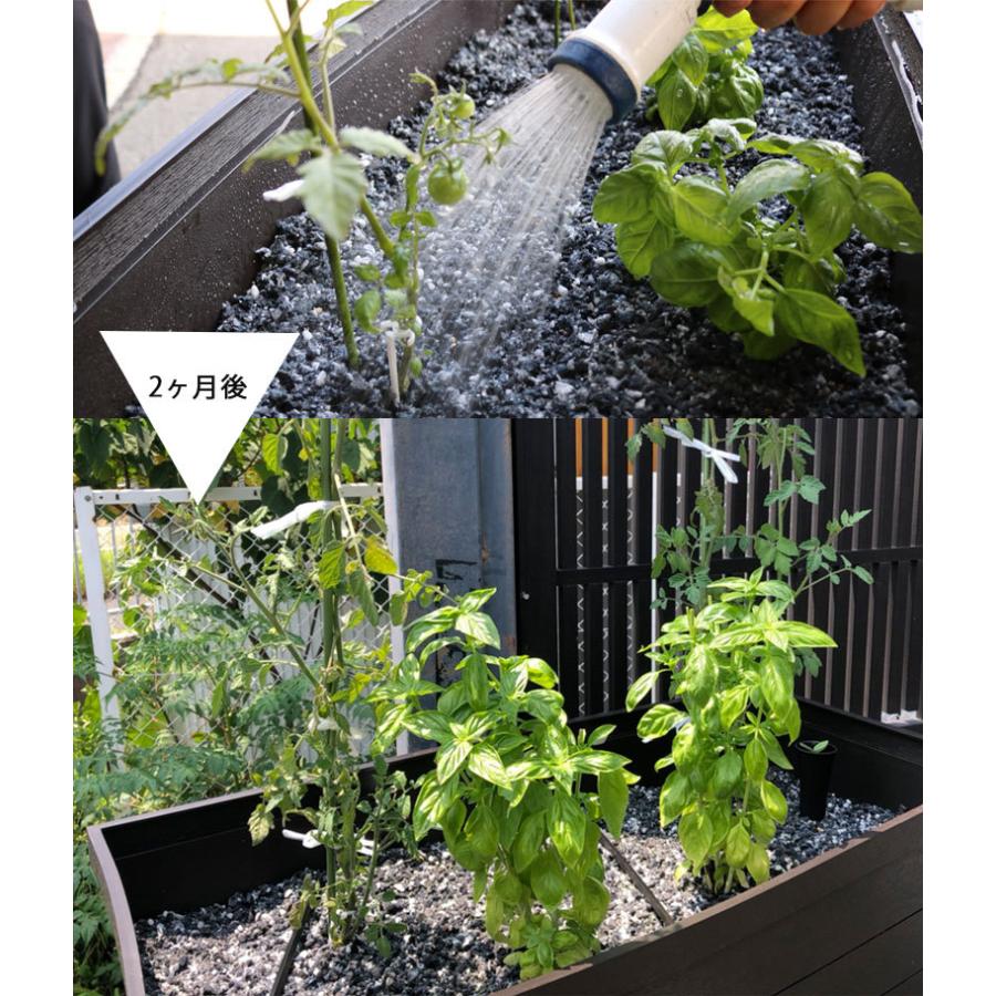 観葉植物 土 超軽量リサイクル繊維培地 美をソイル Bio le seuil 観葉植物 土 超軽量リサイクル繊維培地 美をソイル Bio le seuil