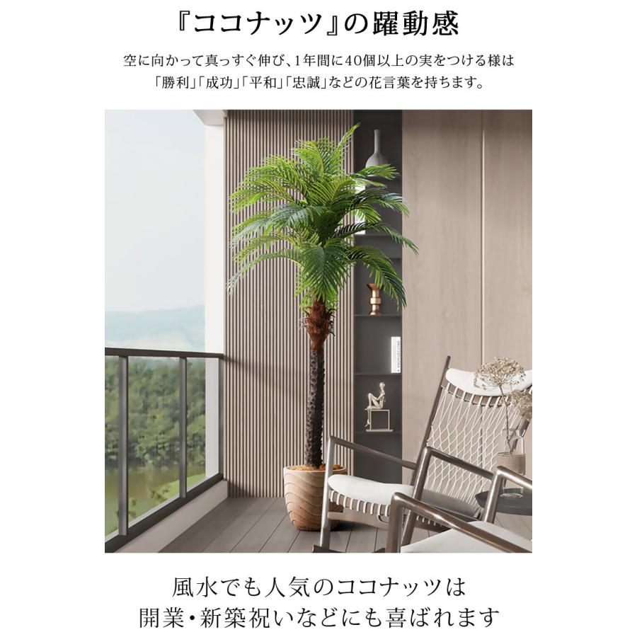 人工観葉植物 フェイクグリーン 観葉植物 緑 造花 インテリア 大型 ココナッツ 230cm Coconut tree 大型宅配便 hnw1_15
