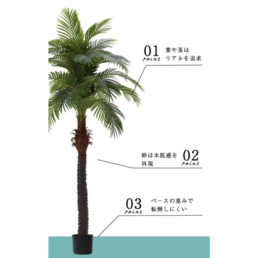 人工観葉植物 フェイクグリーン 観葉植物 緑 造花 インテリア 大型 ココナッツ 230cm Coconut tree 大型宅配便 hnw1_9