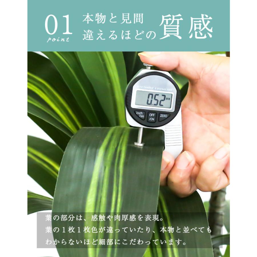 先行予約11月上旬入荷予定 人工観葉植物 フェイクグリーン 観葉植物