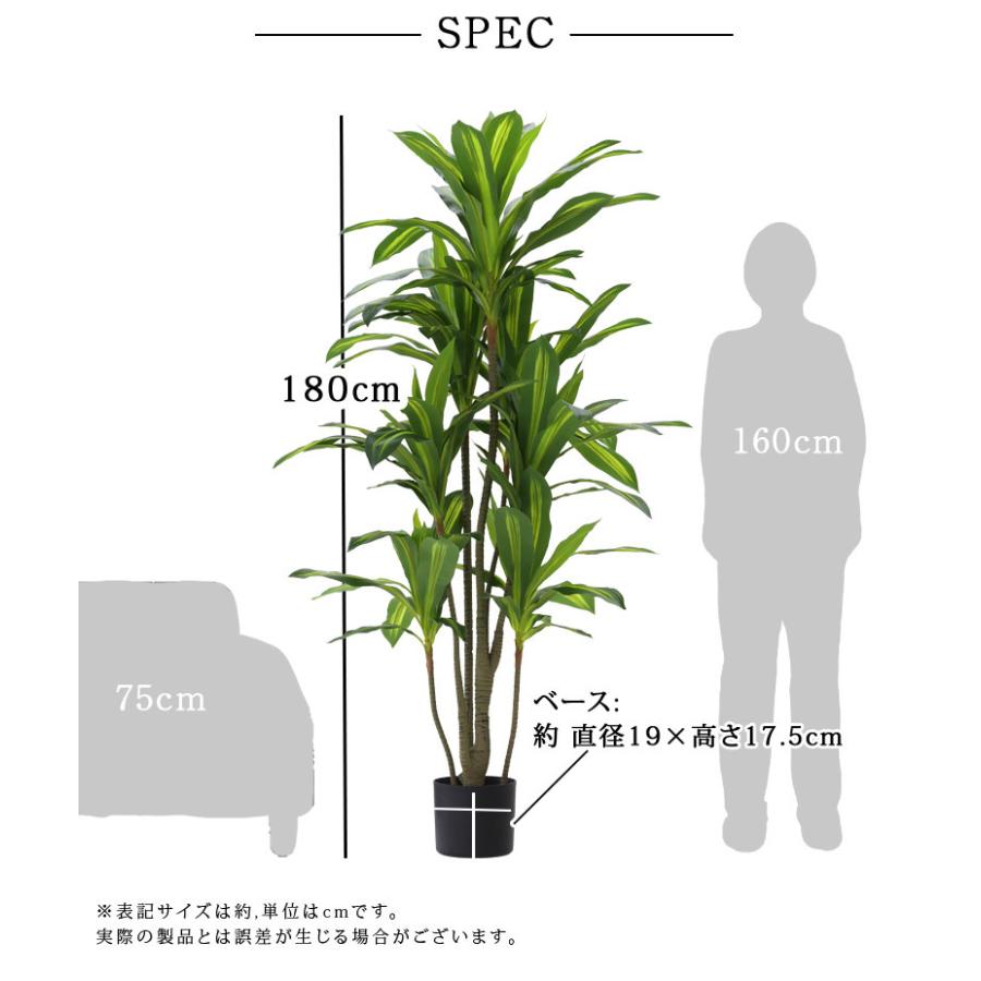 先行予約9月下旬入荷予定 人工観葉植物 フェイクグリーン 観葉植物