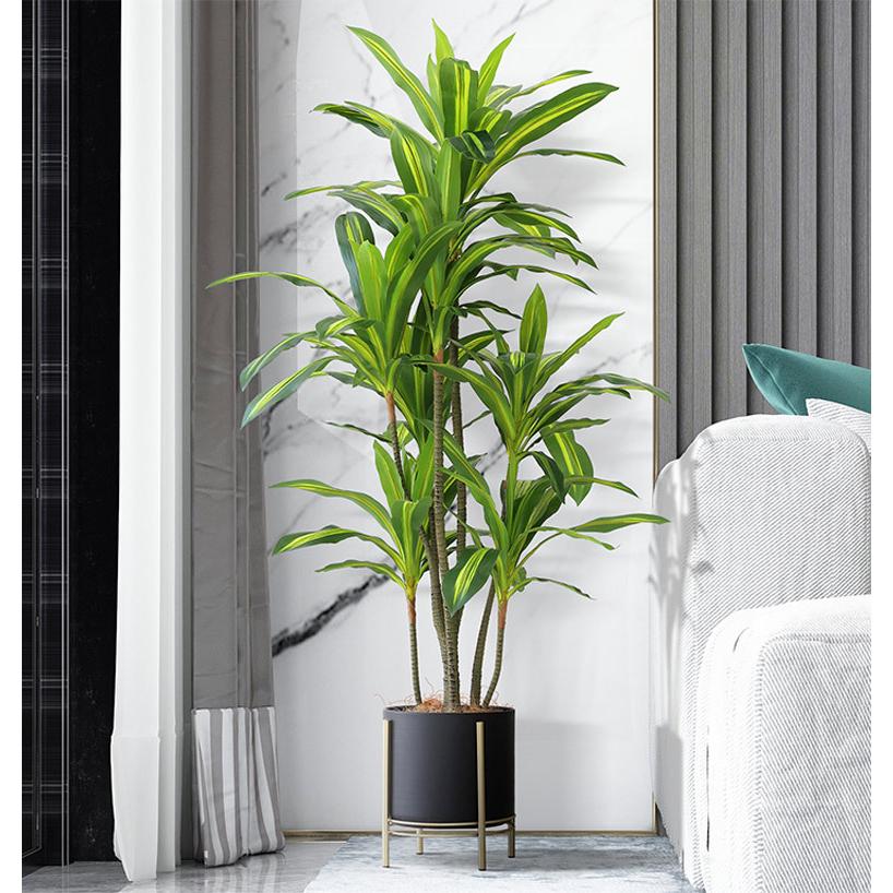先行予約9月下旬入荷予定 人工観葉植物 フェイクグリーン 観葉植物
