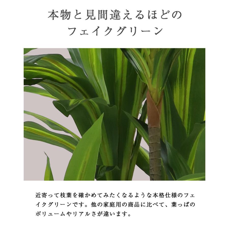 先行予約11月上旬入荷予定 人工観葉植物 フェイクグリーン 観葉植物