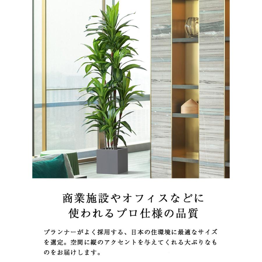 先行予約9月下旬入荷予定 人工観葉植物 フェイクグリーン 観葉植物