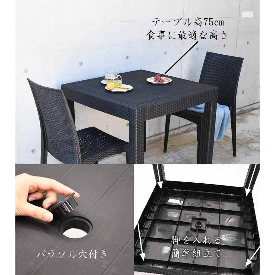 ガーデン テーブル セット チェアー ラタン調 樹脂製 ニューダンテ 