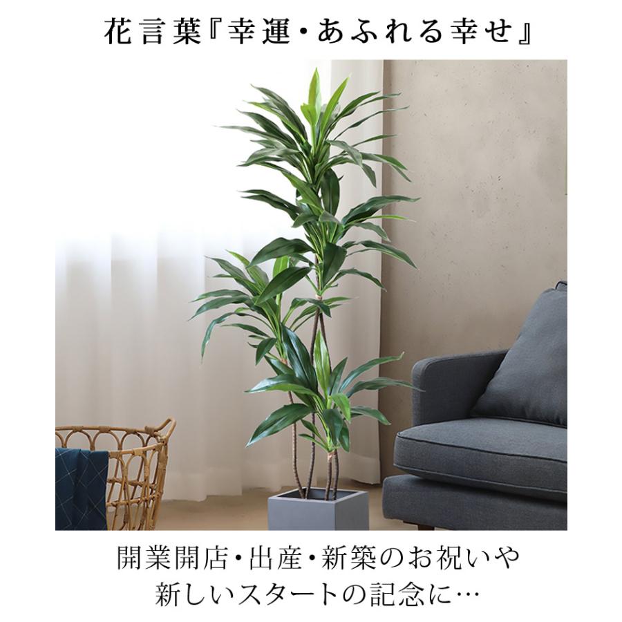 先行予約9月下旬入荷予定 フェイクグリーン 大型 オリーブ 観葉植物