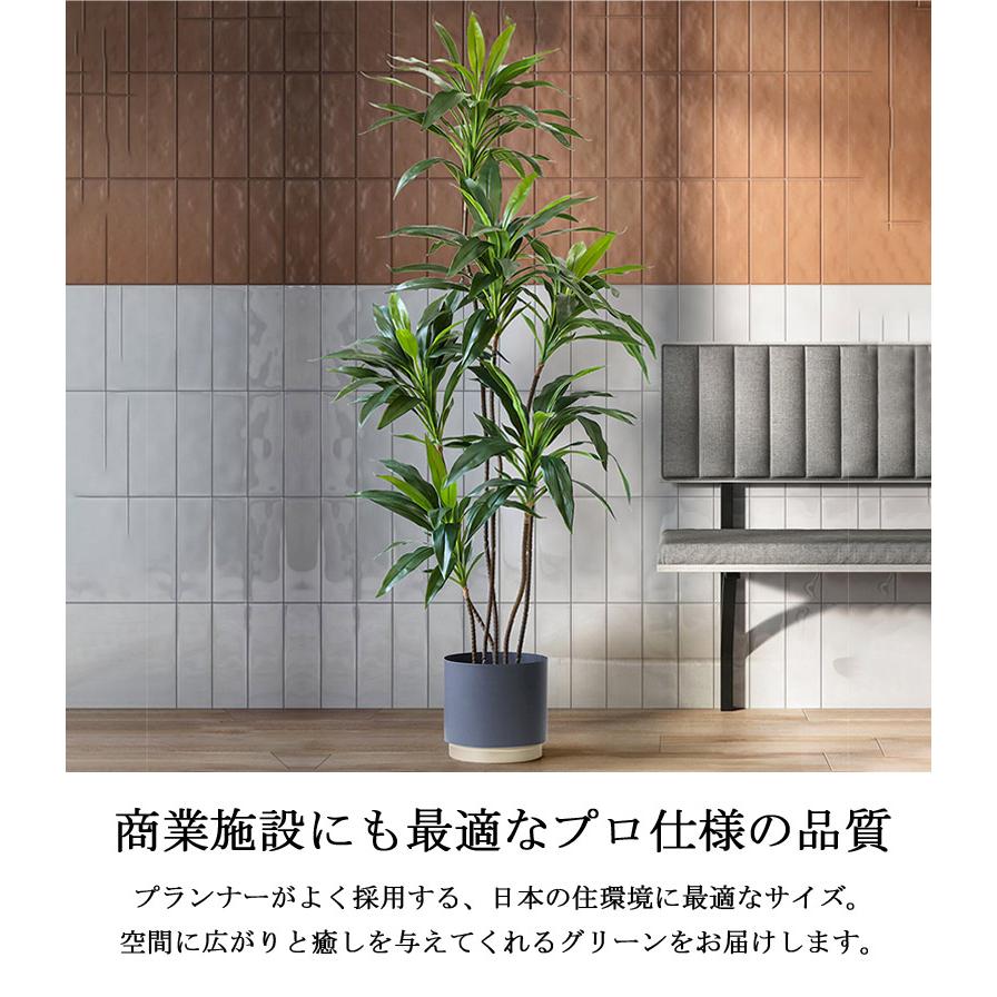 先行予約9月下旬入荷予定 フェイクグリーン 大型 オリーブ 観葉植物