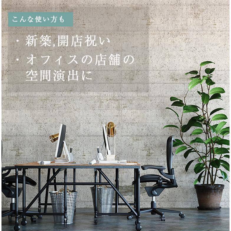人工観葉植物 フェイクグリーン 観葉植物 造花 インテリア 大型 室内 おしゃれ サボテン150cm hnw1の画像