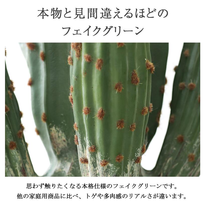 人工観葉植物 フェイクグリーン 観葉植物 造花 インテリア 大型 室内 おしゃれ サボテン150cm hnw1の画像