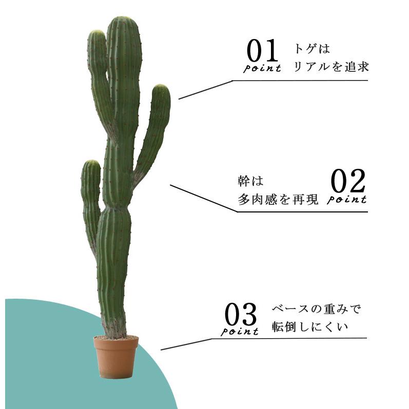 人工観葉植物 フェイクグリーン 観葉植物 造花 インテリア 大型 室内 おしゃれ サボテン150cm hnw1の画像