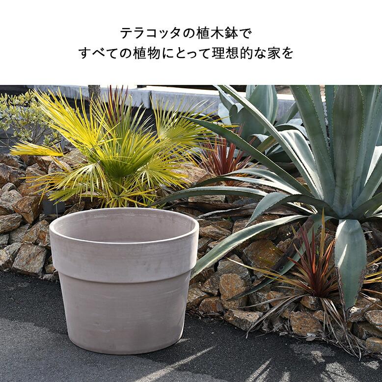 植木鉢 素焼き テラコッタ 16号鉢 陶器 プランター 浅鉢 イタリア