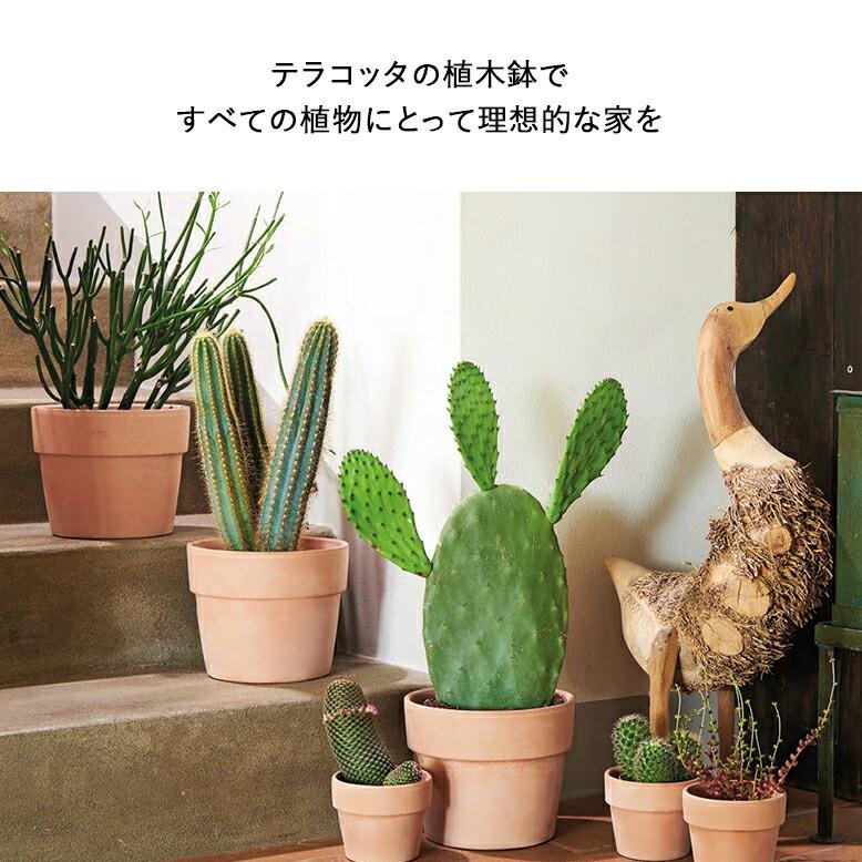 植木鉢 素焼き テラコッタ 16号鉢 陶器 プランター 浅鉢 イタリア