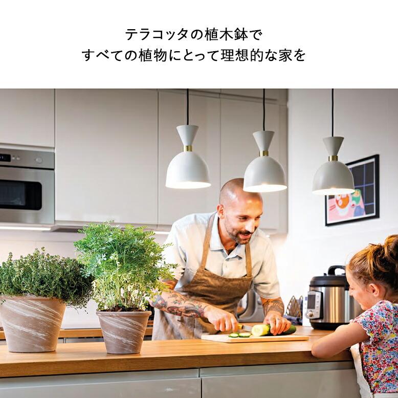 植木鉢 素焼き 8号鉢 テラコッタ ライトグレー イタリア DEROMA 植木鉢 素焼き 8号鉢 テラコッタ ライトグレー イタリア DEROMA