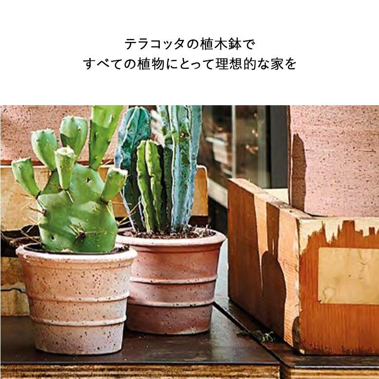 植木鉢 素焼き テラコッタ 16号鉢 おしゃれ 陶器 プランター 観葉