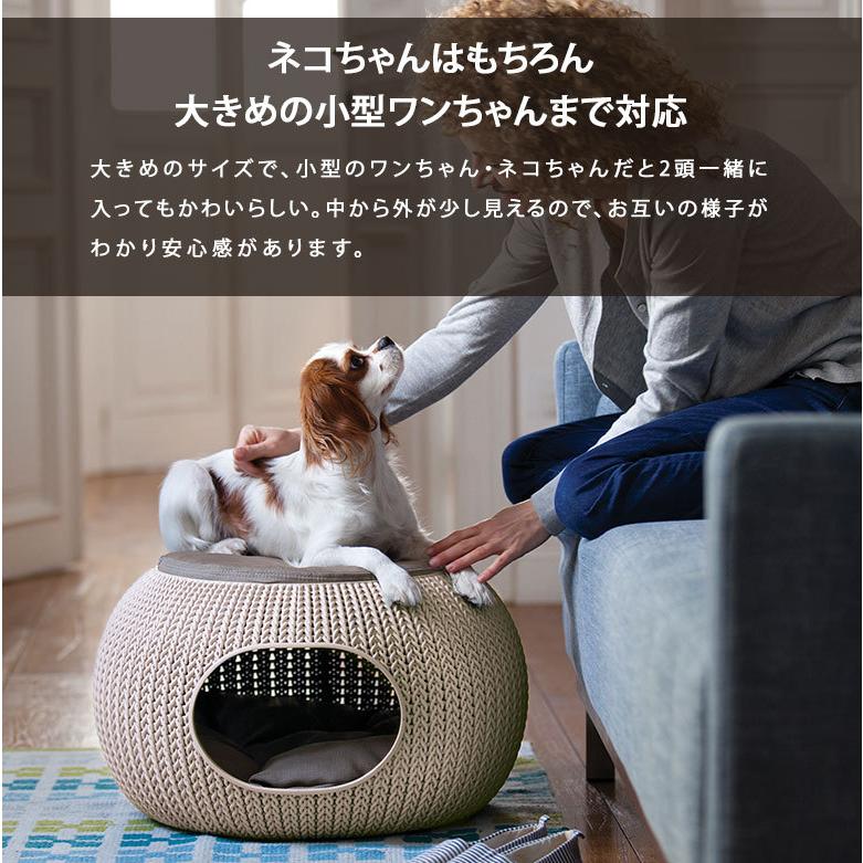 ペットベッド 洗える プラスチック おしゃれ 犬用ベッド 猫用ベッド
