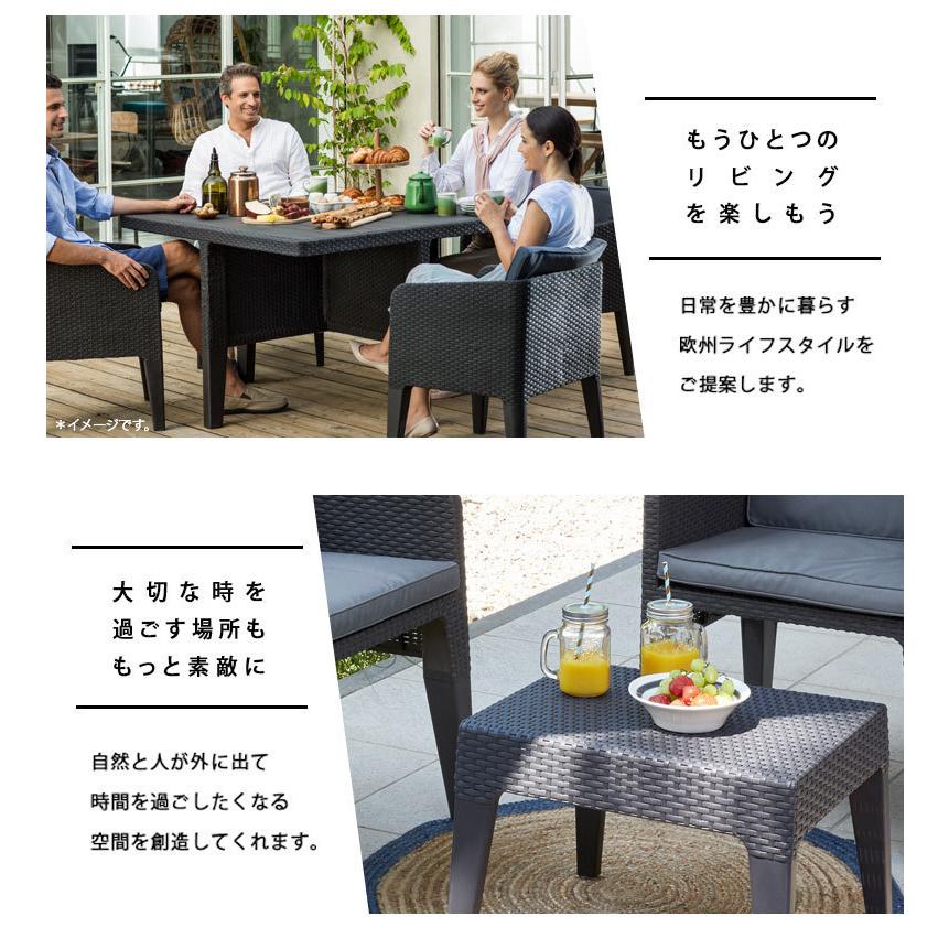 ガーデン テーブル セット 錆びない 雨ざらし チェア ガーデン