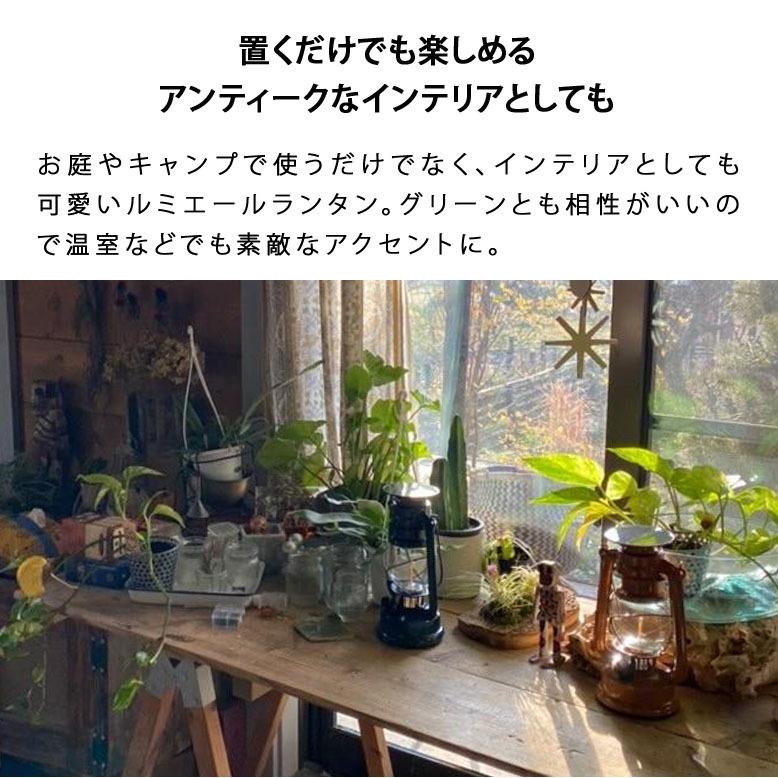 テーブルランプ おしゃれ LED アンティークランタン ソーラー USB充電 北欧 間接照明 インテリア 寝室 子供部屋 おうちキャンプ 授乳 ルミエール キャメル tks1 |  | 05