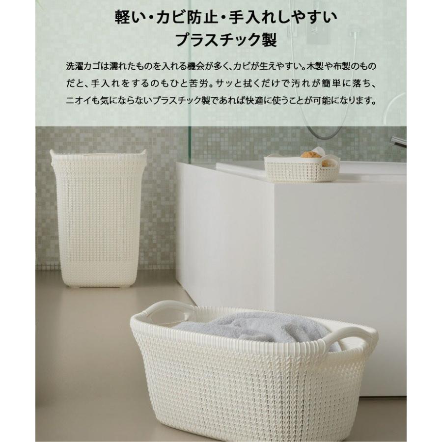 DEPOS ランドリーバスケット 洗濯かご ンドリーボックス 収納