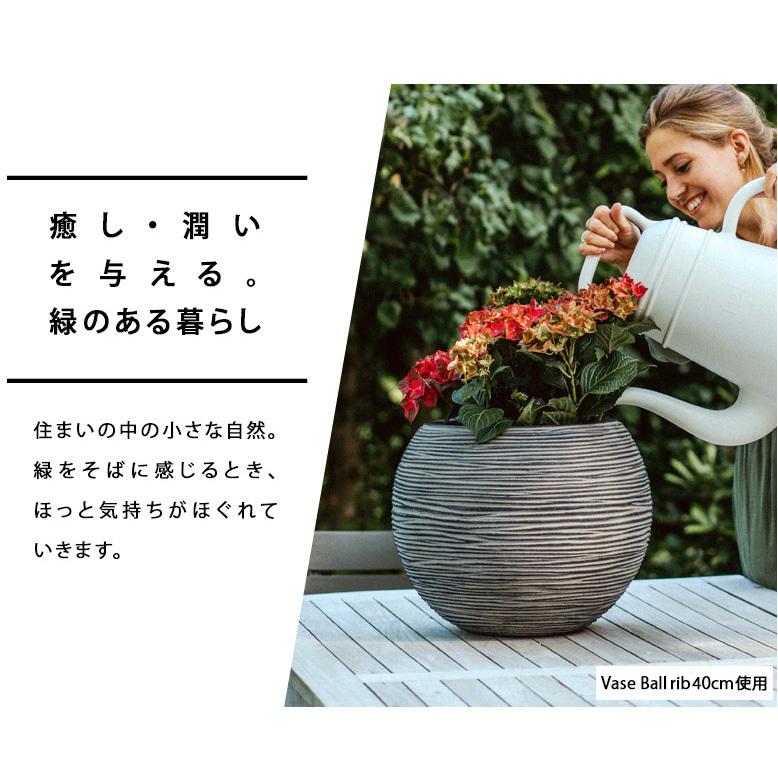 植木鉢 ボール型植木鉢 capi カピ エッグプランター 43×41 スムース