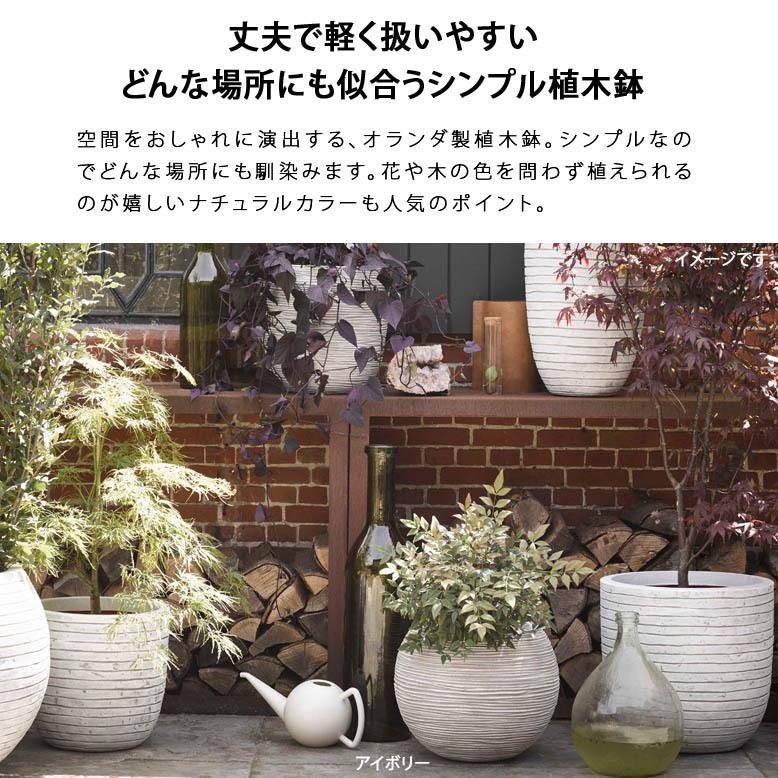 植木鉢 大型植木鉢 樹脂製 鉢 大型プランター 丸型 カピ ブラック