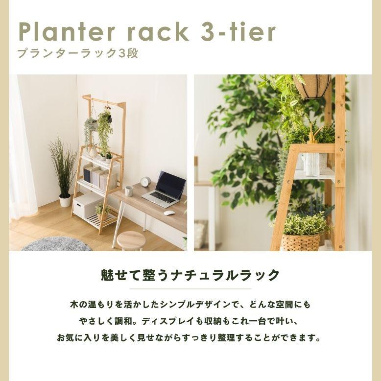 ハンガー付き プランターラック3段　W60｜プランタースタンド 植木鉢 スタンド 室内 屋外 武田 フラワースタンド 天然木 棚 花 プランターラック |  | 01