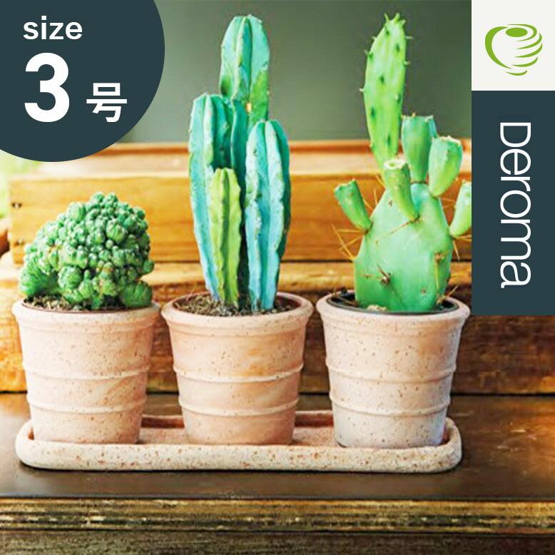 植木鉢 素焼き テラコッタ 3号鉢 プランター イタリア DEROMA デロマ 