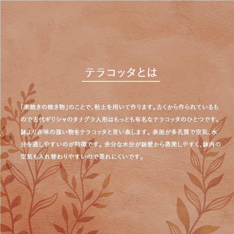 植木鉢 素焼き テラコッタ 3号鉢 プランター イタリア DEROMA キット