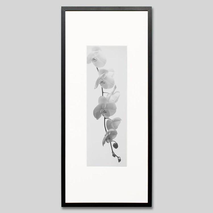 ラグ good vibes only グラフィティー タフティング