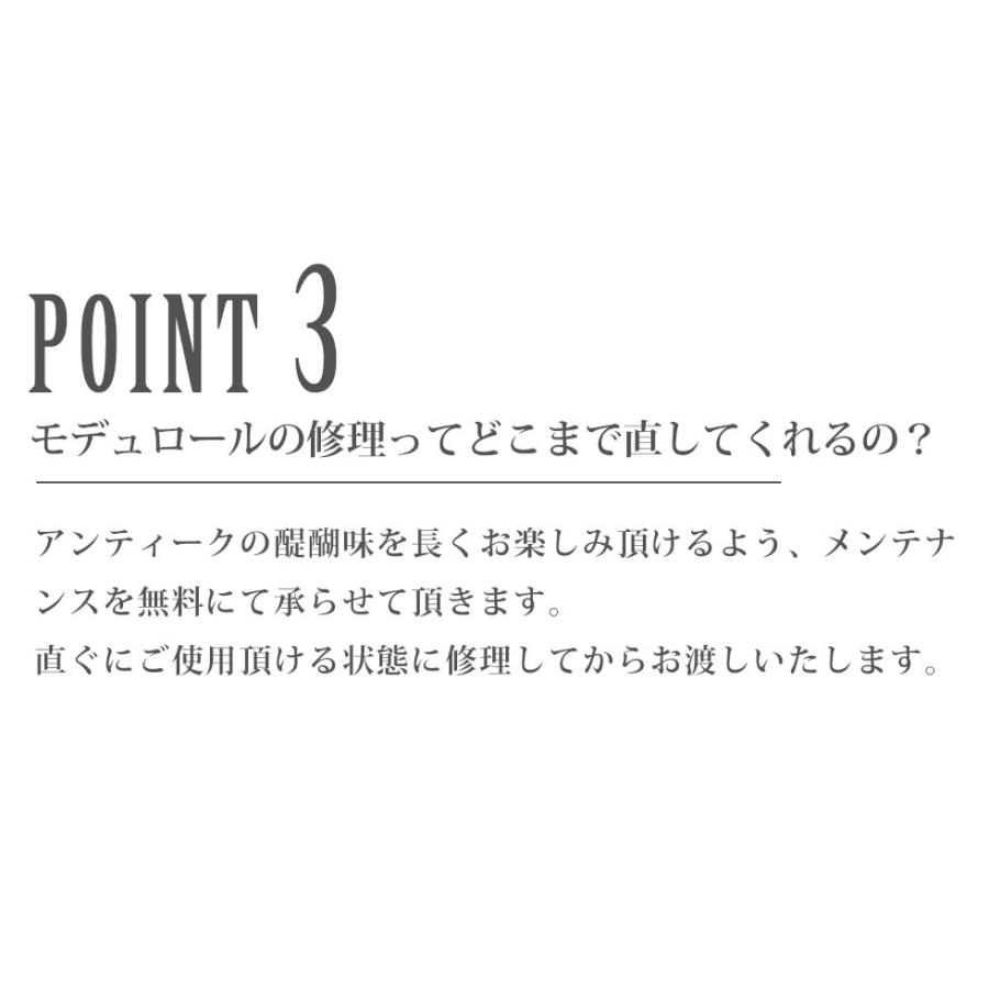 送料無料 アンティーク家具 アイアンゲート 海外直輸入 輸入家具 イギリス ビンテージ レトロ wk-gdn-791-igt｜modulor｜06