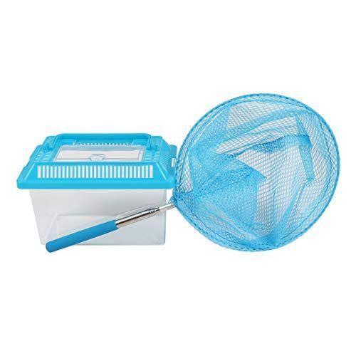 信用 虫取り網 飼育ボックス セット 虫取りアミ 伸縮式 虫とり むしとり 虫かご 昆虫 親子 子供 ブルー Shipsctc Org