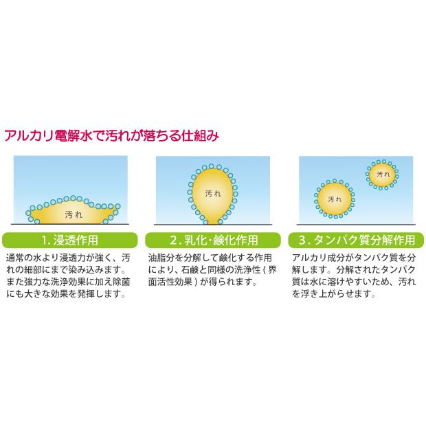 電解水 WATERキレイ 【 超電解アルカリ洗浄水 】 500ml トリガーボトル　（掃除/ウィルス対策） | ブランド登録なし | 06