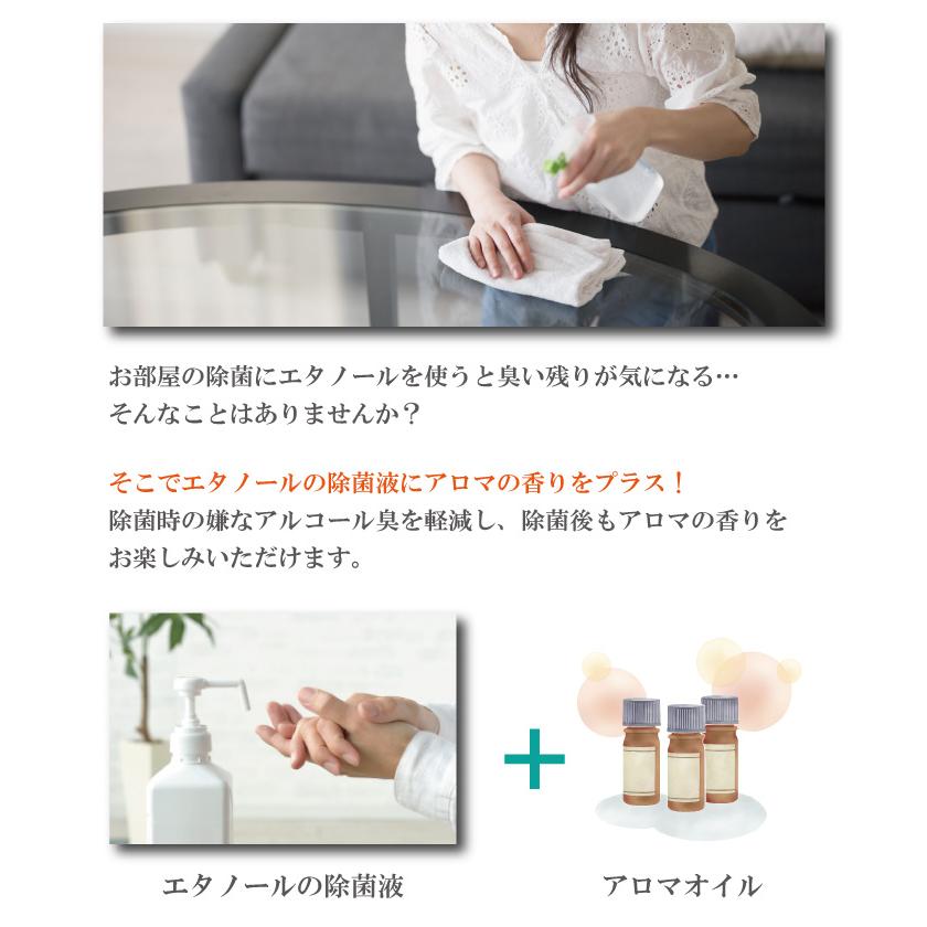 エタノール除菌  香りのルームスプレー ヒノキの香り 300ml / エタノール濃度75v/v% / 日本製 / ウィルス対策 / 手指消毒使用可 | ブランド登録なし | 04