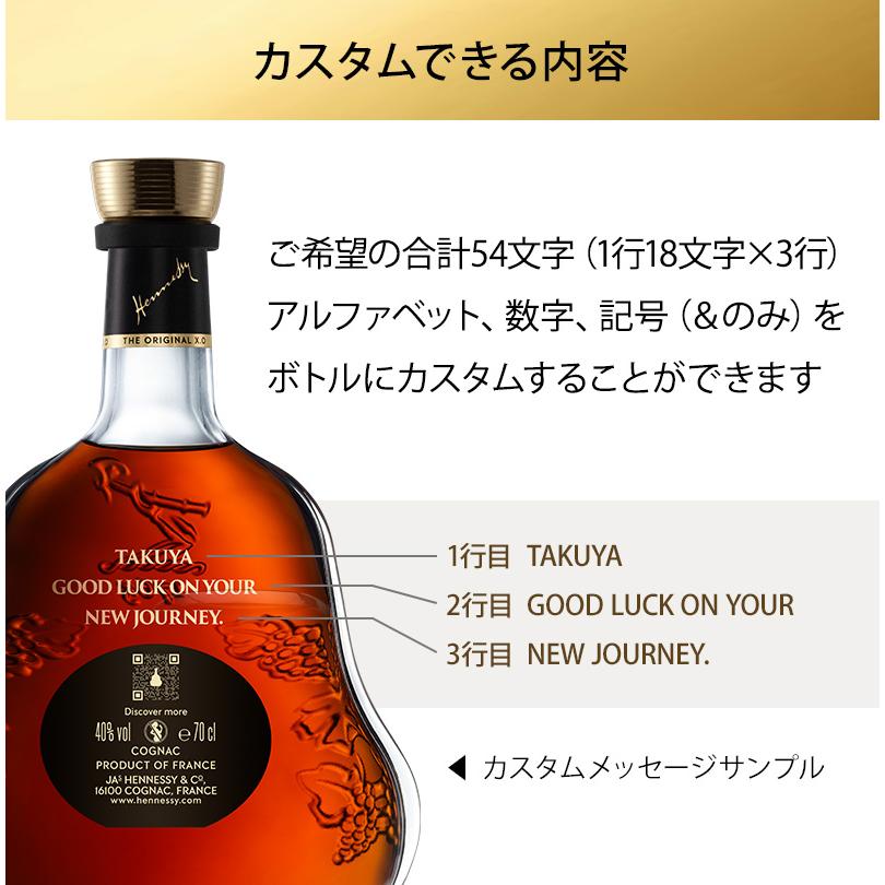 Hennessy XO ギター型ボトル　700ml Hennessy 【カスタムボトル対応 正規公式店 ギフトバッグ付