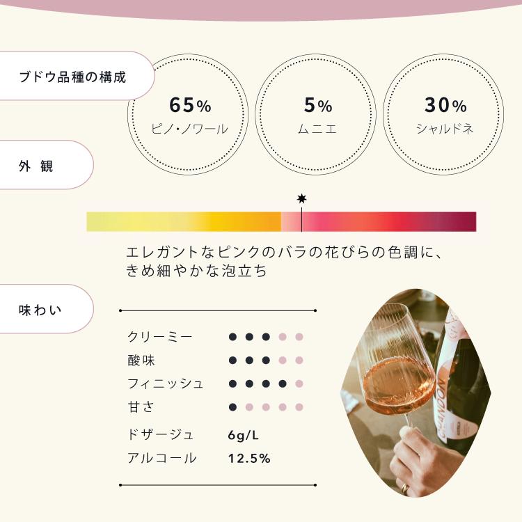 CHANDON 限定ボトルバッグ付 シャンドン 白&ロゼ公式店限定 CHANDON 限定ボトルバッグ付 シャンドン 白&ロゼ公式店限定