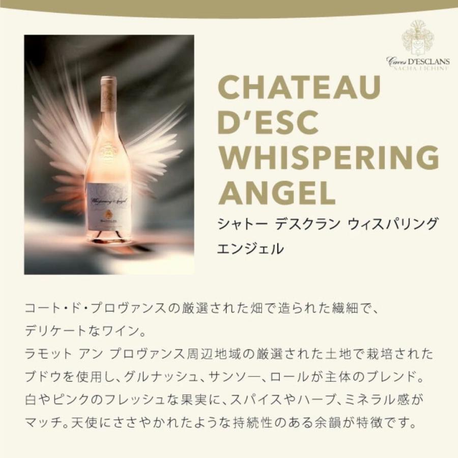 【ポイント10% 送料無料】  "世界No.1 NZワイン" と人気の南仏ロゼ2本セット クラウディー ベイ ソーヴィニヨン ブラン ロゼワイン 箱入 | CLOUDY BAY | 10