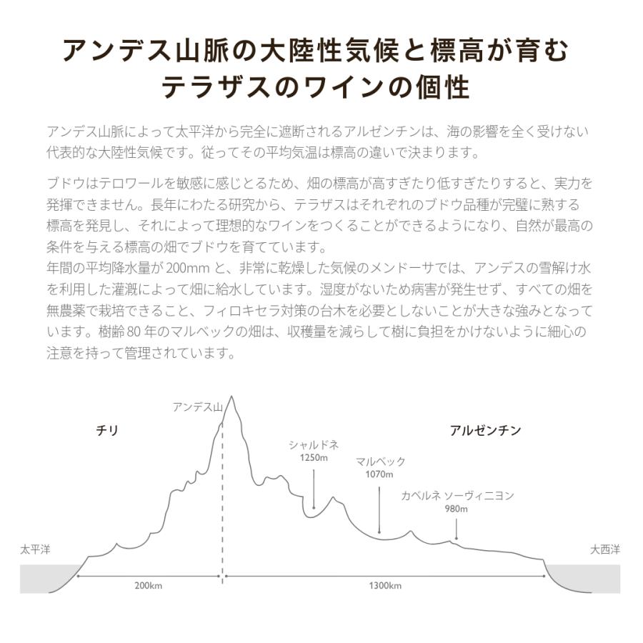 【公式店限定 ギフトボックス選択可】 テラザス グランド マルベック 750ml アルゼンチン 赤ワイン フルボディ ギフト ラッピング可 |  | 02