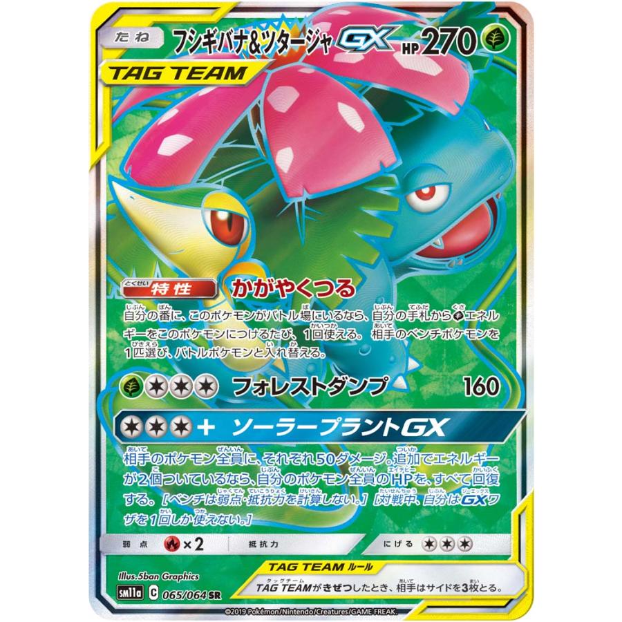 フシギバナ＆ツタージャGX SR [リミックスバウト] SM11a 065/064