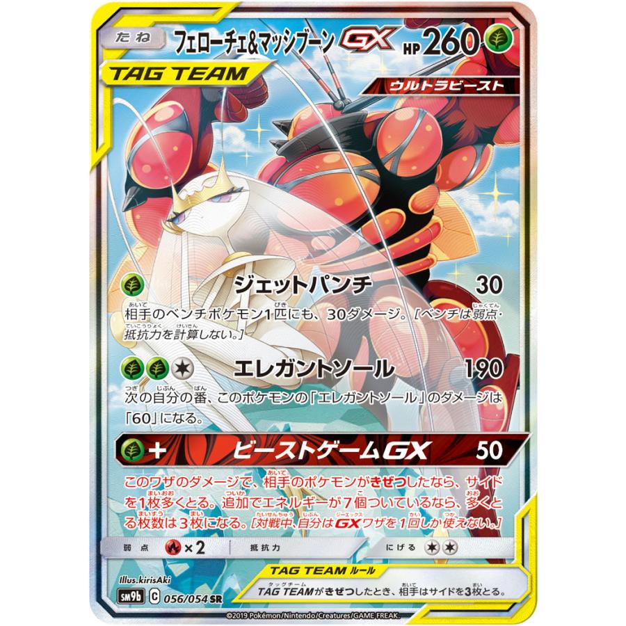 フェローチェ＆マッシブーンGX SR [フルメタルウォール] SM9b