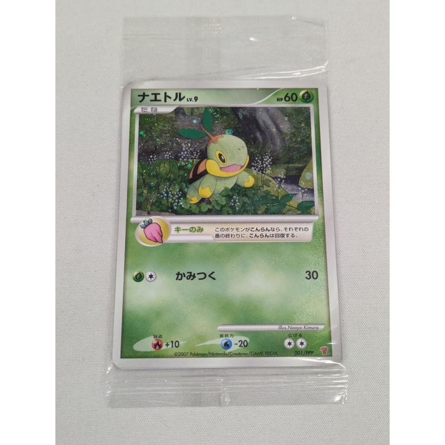ポケモンカード ①ナエトル プロモ 第5期プレイヤーズ けいけんち