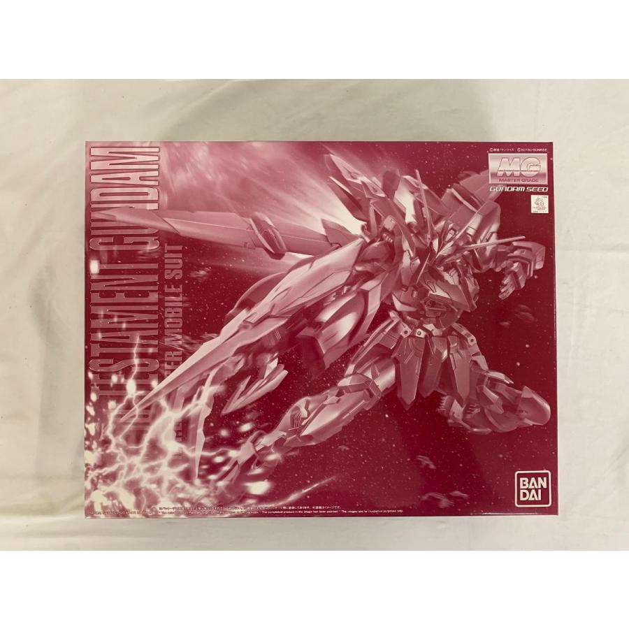 未開封】1/100 MG ZGMF-X12A/RGX-00 テスタメントガンダム 「機動戦士