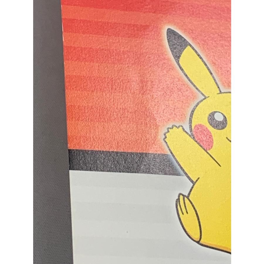 ポケモンだいすきクラブカード PCGアクションポイントプレゼント ポケモンだいすきクラブカード PCGアクションポイントプレゼント