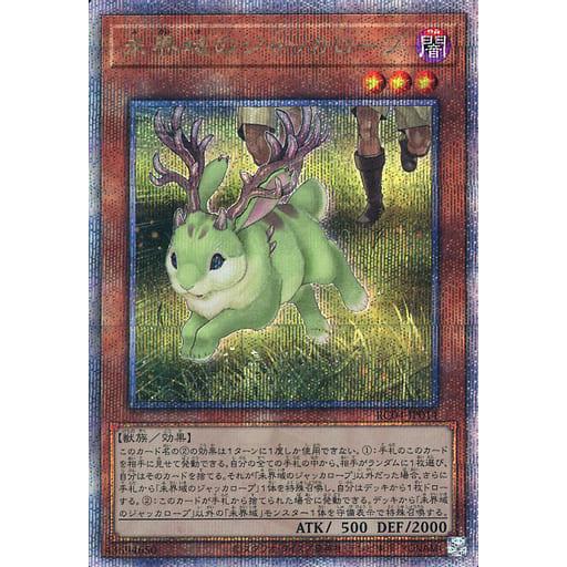 未開域のジャッカロープ【RC04-JP014 QCSE】 傷有り特価 : ネットオフ