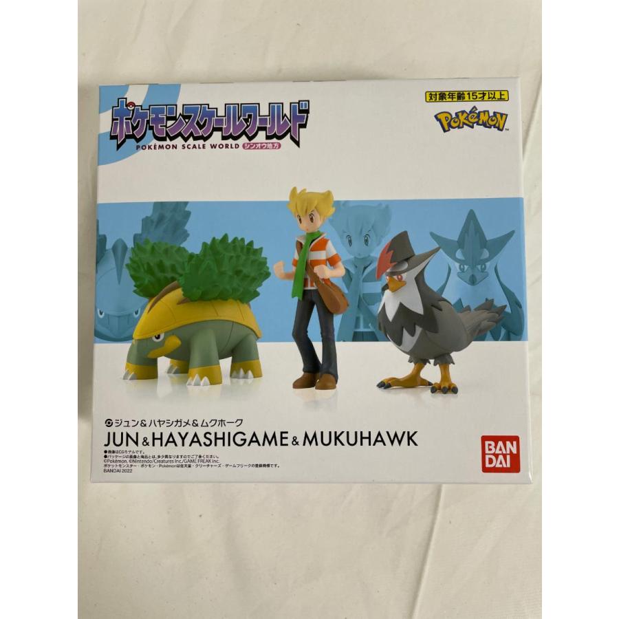 ポケモンスケールワールド シンオウ地方 ジュン＆ハヤシガメ