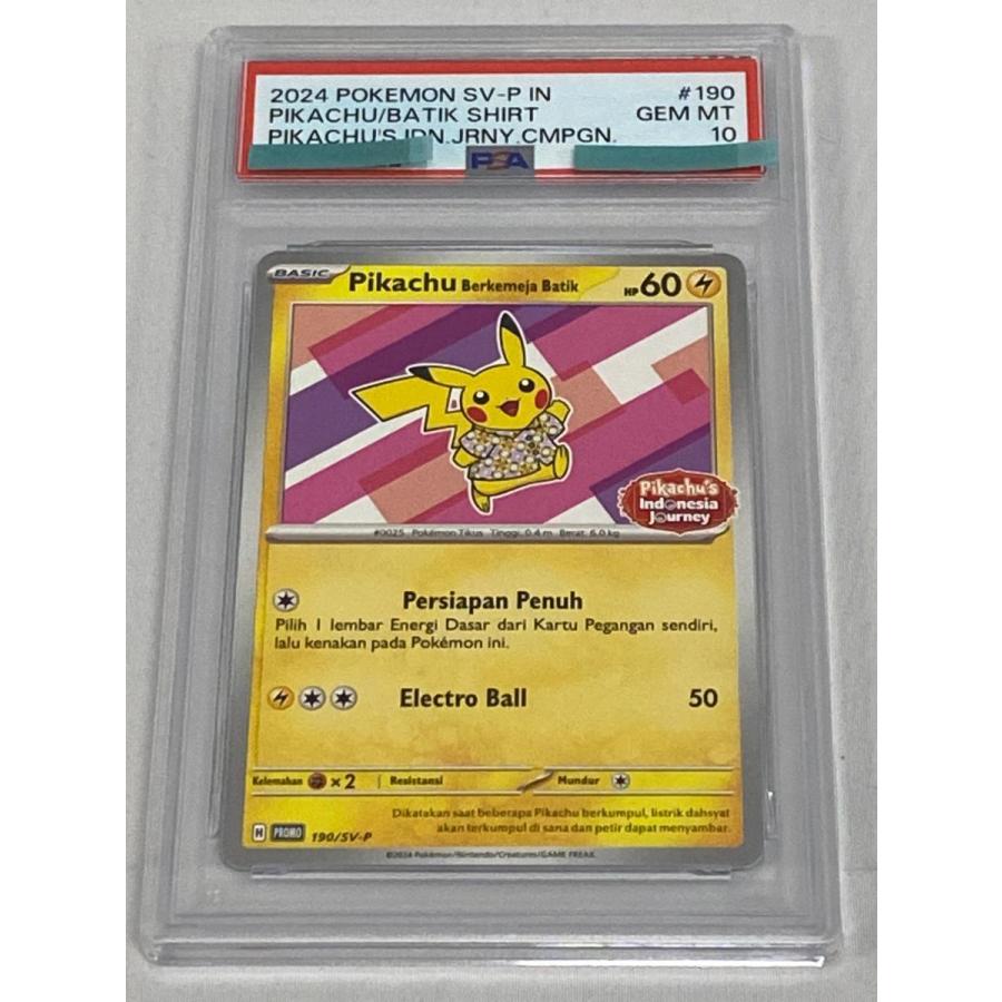 Pikachu Berkemeja Batik(バティックシャツのピカチュウ) [Pikachu's