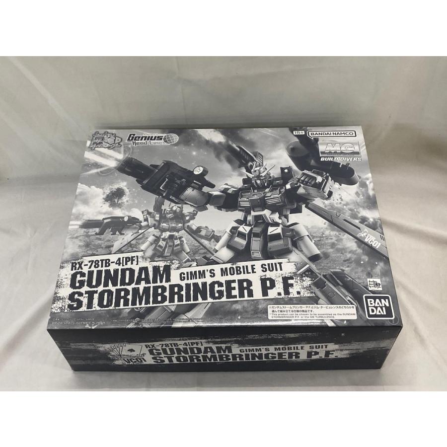 未開封】1/100 MG ガンダムストームブリンガー P.F. : ネットオフ もえ