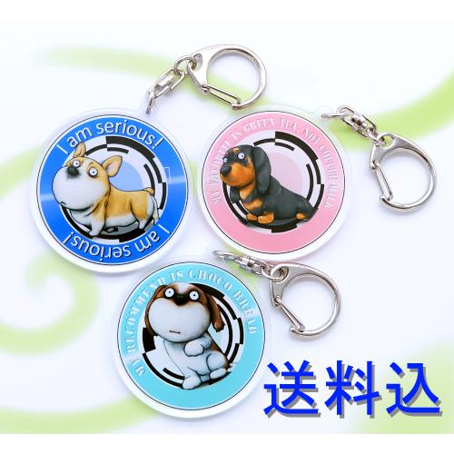 犬のコーギーさん ミニチュアダックスフンドさん シーズーさんのキーリング おしゃれ キャラクター アニマル キーホルダー 003 Gd Inukey01set Moevi 通販 Yahoo ショッピング
