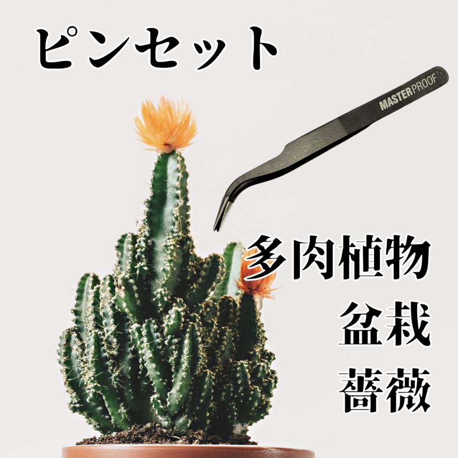ピンセット とげ抜き 薔薇 バラ 植物 サボテン 多肉植物 ガーデニング